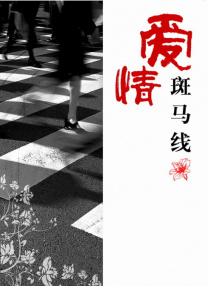 91精品国产综合久久精品麻豆